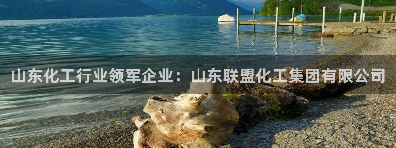 球盟会在线登入：山东化工行业领军企业：山东联盟化工集团有限公