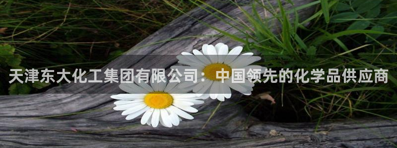球盟会可以提现么是真的吗：天津东大化工集团有限公司：中国领先