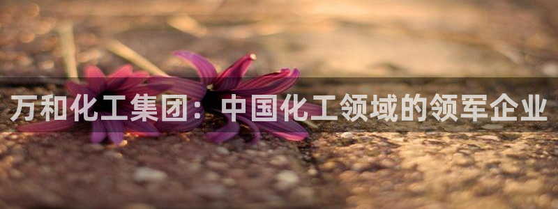 球盟会黑嘛