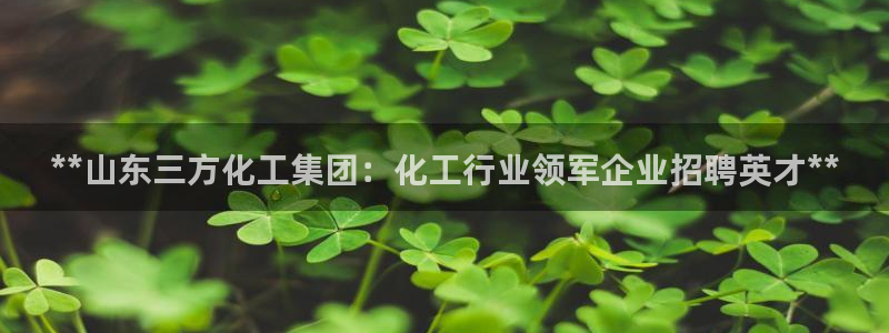 球盟会头号玩家：**山东三方化工集团：化工行业领军企业招聘英