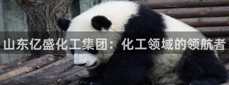 球盟会有没有黑单的人