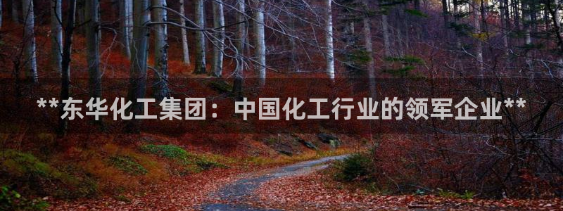 球盟会能退钱吗是真的吗：**东华化工集团：中国化工行业的领军