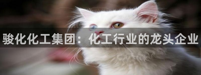 球盟会登陆