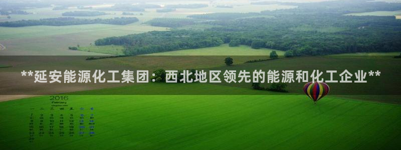 球盟会黑款吗：**延安能源化工集团：西北地区领先的能源和化工