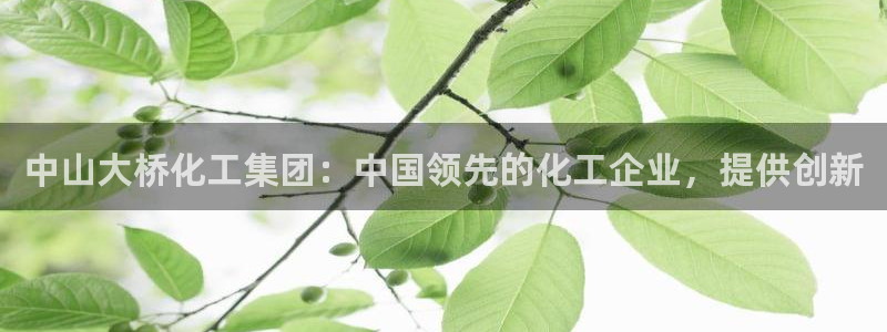 球盟会进不去球员吗：中山大桥化工集团：中国领先的化工企业，提
