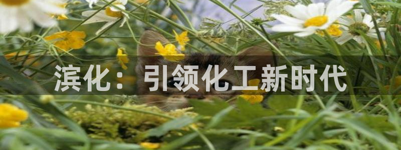 球盟会App：滨化：引领化工新时代