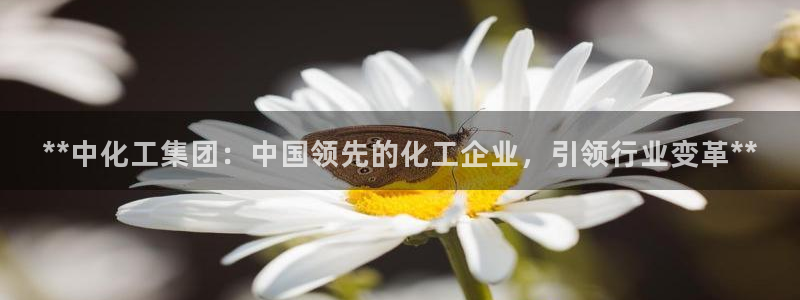 球盟会官方：**中化工集团：中国领先的化工企业，引领行业变革