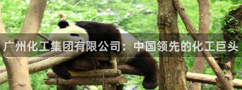 球盟会下载最新版：广州化工集团有限公司：中国领先的化工巨头