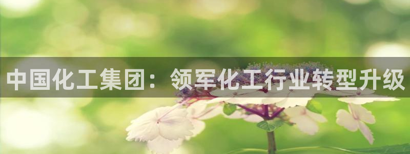 球盟会黑款吗
