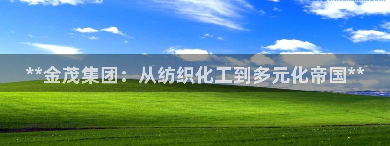 球盟会APP官网
