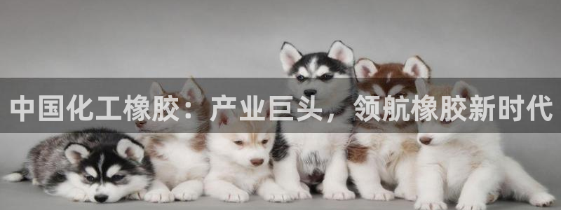 球盟会网址多少
