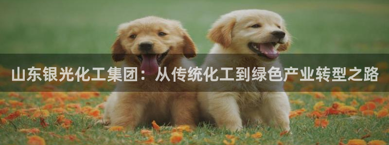 球盟会头号玩家