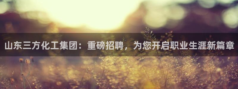 球盟会网址多少