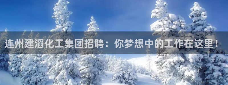 球盟会app最新地址下载安装