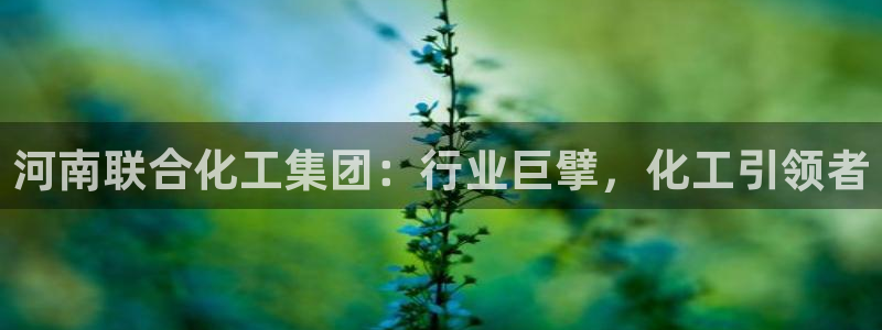 球盟会黑台