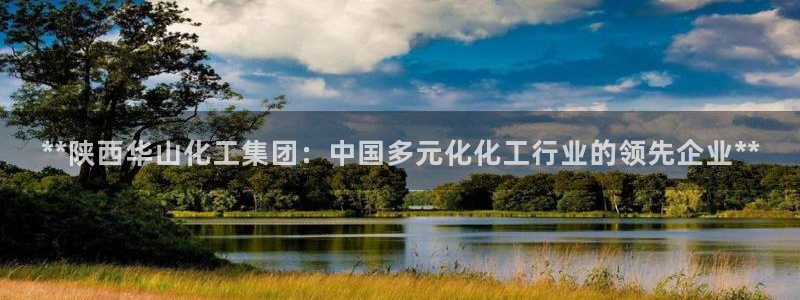 球盟会登陆：**陕西华山化工集团：中国多元化化工行业的领先企