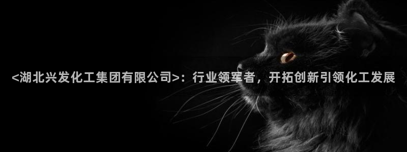 球盟会