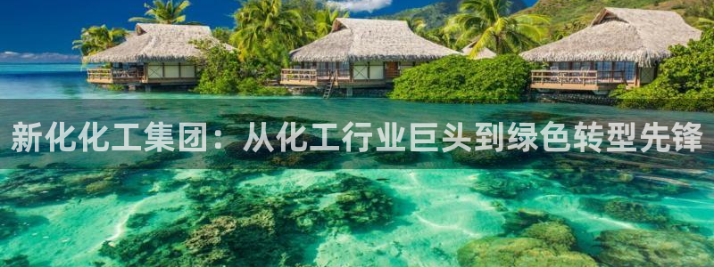 球盟会头号玩家