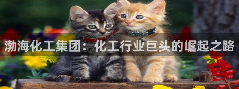 球盟会qmh网页版登录