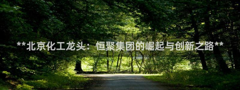 球盟会官方app首页入口：**北京化工龙头：恒聚集团的崛起与