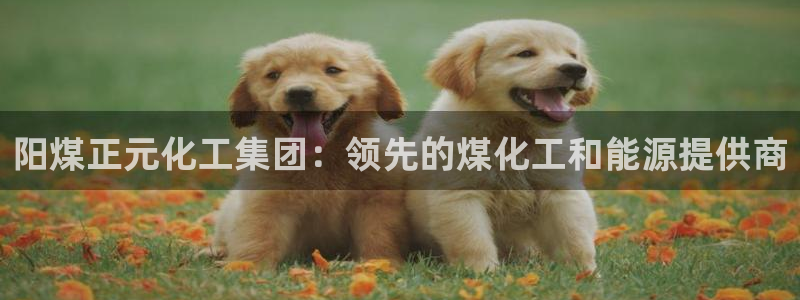 球盟会有没有黑单的：阳煤正元化工集团：领先的煤化工和能源提供
