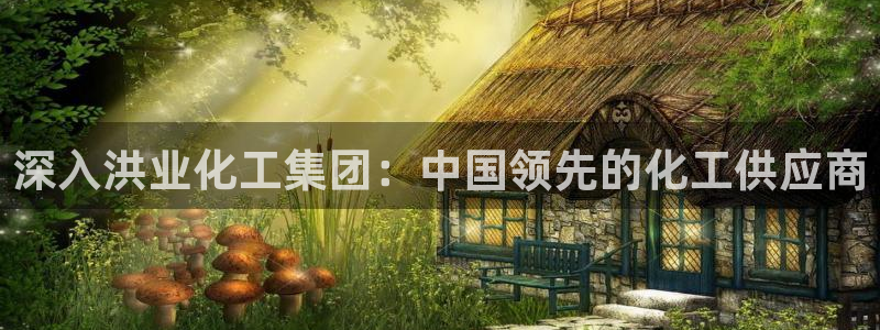 球盟会进不去吗