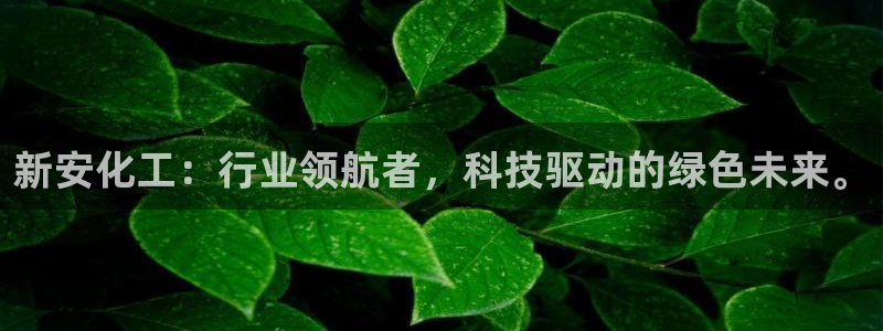 球盟会qm9：新安化工：行业领航者，科技驱动的绿色未来。