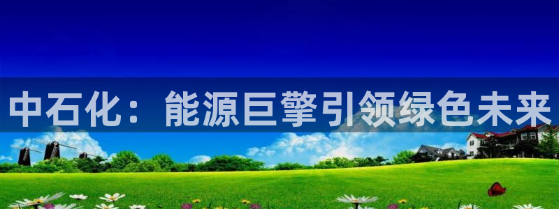 球盟会网址qm9 - 球盟会qmh网页版登录：中石化：能源巨