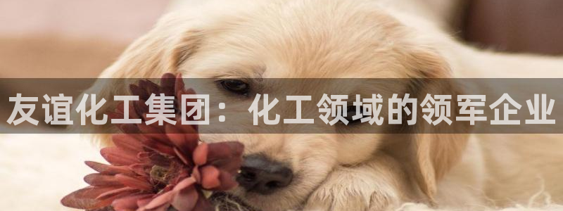 球盟会和中欧会的区别