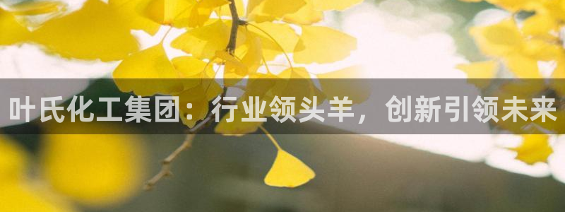 球盟会体育平台：叶氏化工集团：行业领头羊，创新引领未来