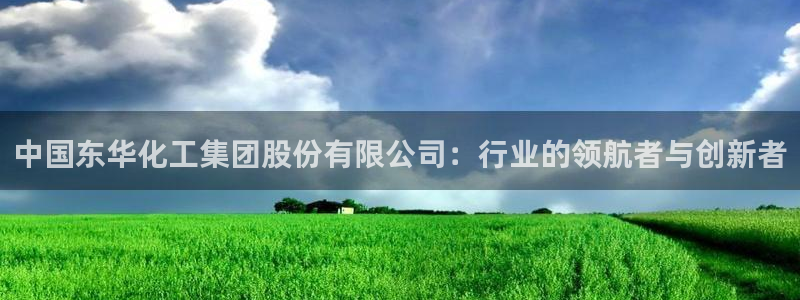 球盟会里面有打牌的嘛是真的吗：中国东华化工集团股份有限公司：