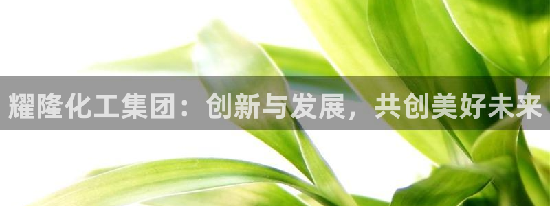 球盟会网页版：耀隆化工集团：创新与发展，共创美好未来