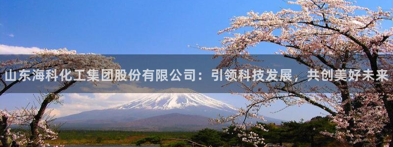 球盟会综合体育平台：山东海科化工集团股份有限公司：引领科技发