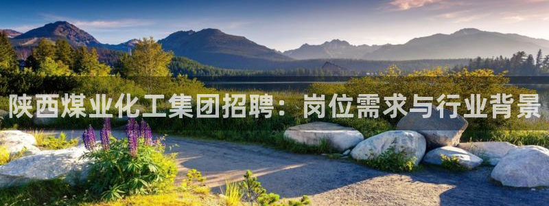 球盟会能退钱吗是真的吗：陕西煤业化工集团招聘：岗位需求与行业