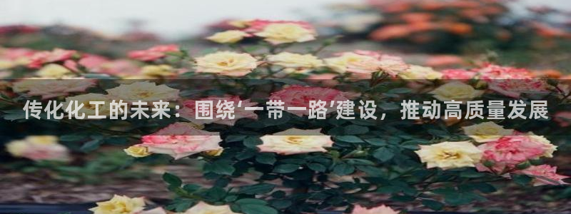 球盟会提款支付宝怎么样：传化化工的未来：围绕‘一带一路’建设