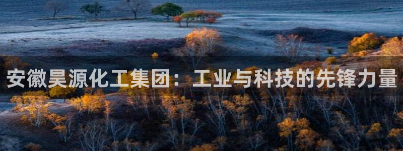 球盟会官方入口：安徽昊源化工集团：工业与科技的先锋力量
