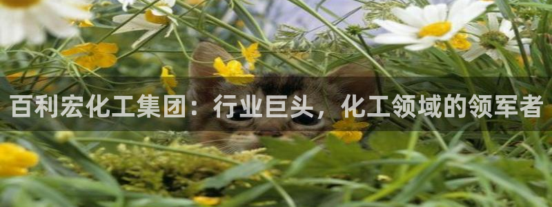 球盟会官网网页版