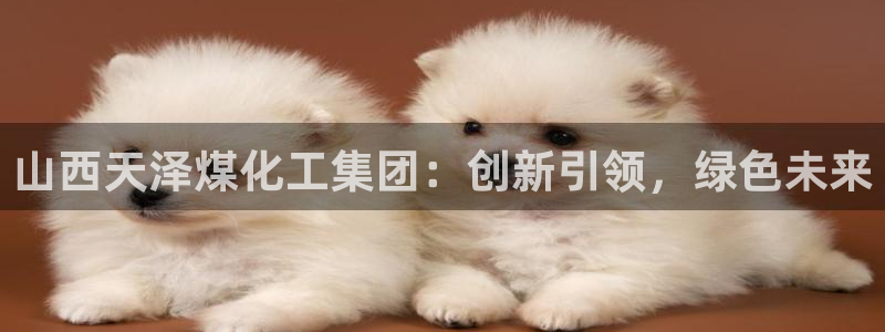球盟会平台会黑单吗：山西天泽煤化工集团：创新引领，绿色未来