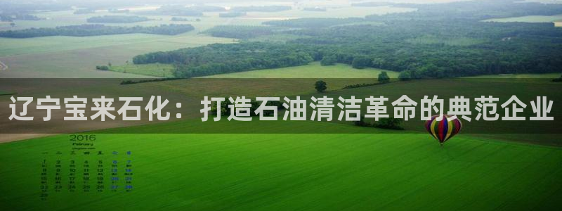 球盟会黑钱：辽宁宝来石化：打造石油清洁革命的典范企业