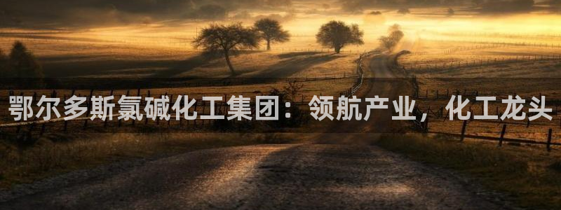 球盟会APP官网