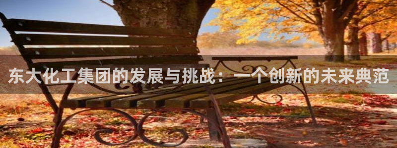 球盟会综合app下载：东大化工集团的发展与挑战：一个创新的未