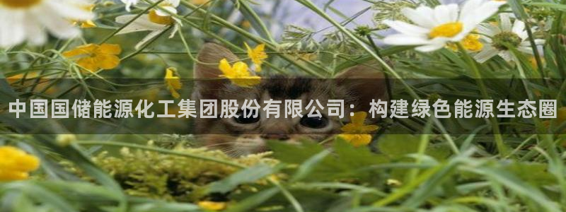 球盟会官方：中国国储能源化工集团股份有限公司：构建绿色能源生
