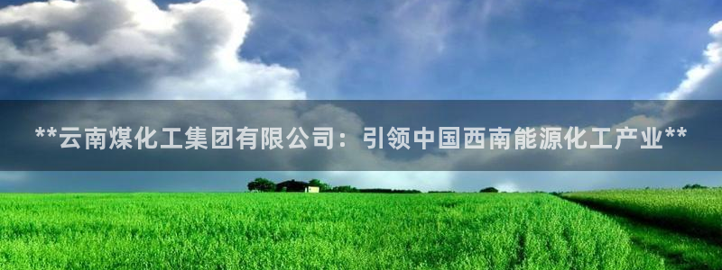 球盟会官方网址入口：**云南煤化工集团有限公司：引领中国西南