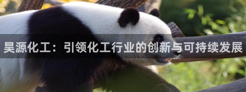 球盟会网页版：昊源化工：引领化工行业的创新与可持续发展