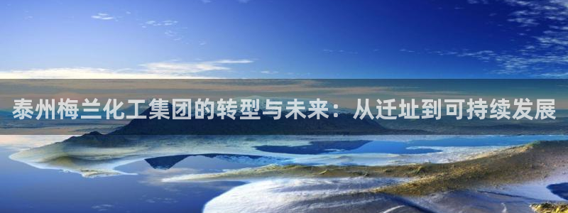 球盟会平台会黑单吗：泰州梅兰化工集团的转型与未来：从迁址到可