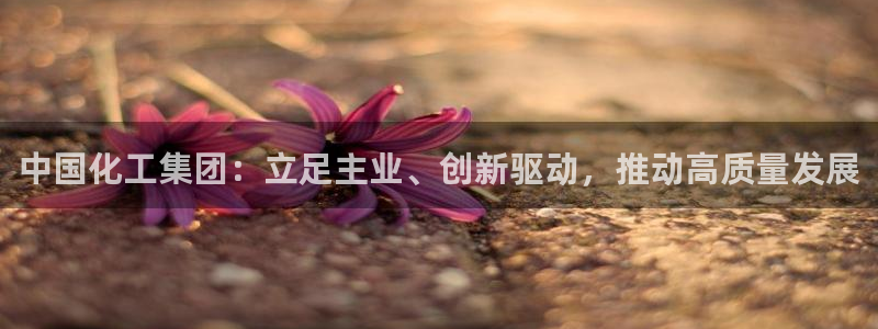 球盟会app入口：中国化工集团：立足主业、创新驱动，推动高质