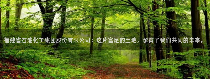 球盟会游戏：福建省石油化工集团股份有限公司：这片富足的土地，