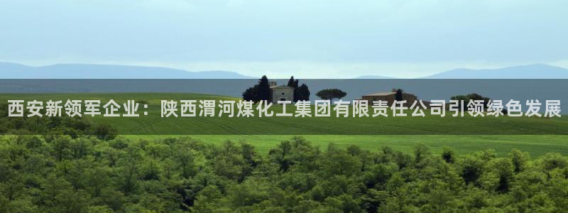 球盟会(中国)官方网站：西安新领军企业：陕西渭河煤化工集团有