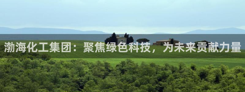 球盟会官方登录平台：渤海化工集团：聚焦绿色科技，为未来贡献力