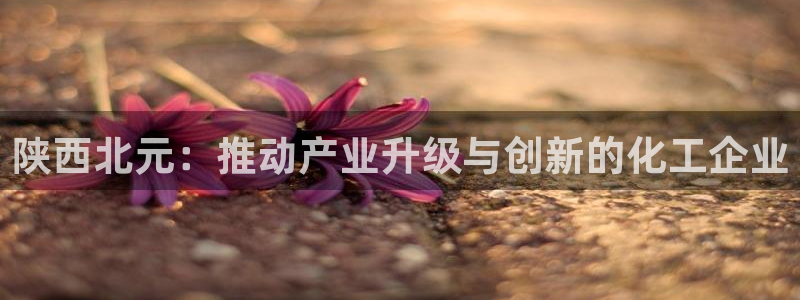 球盟会app：陕西北元：推动产业升级与创新的化工企业